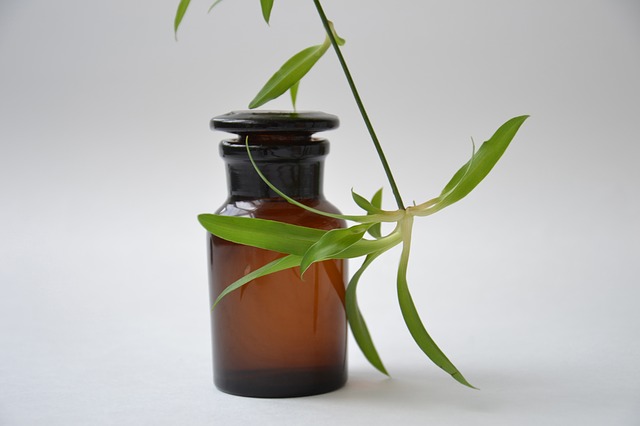 Dakar bio